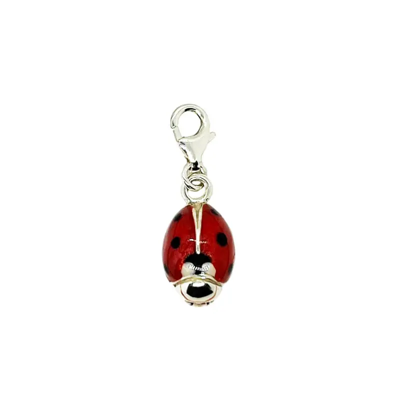 Charm Coccinella