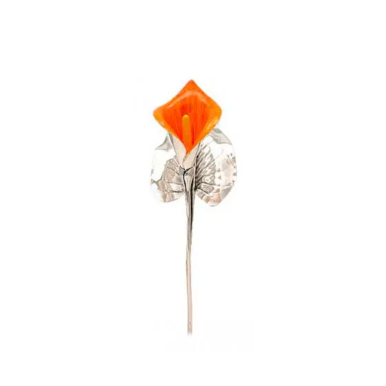 Fiore Calla