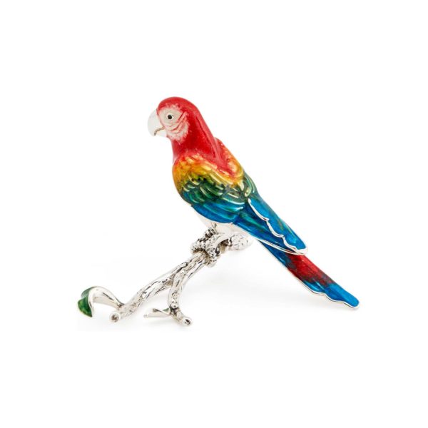 Parrot on Branch