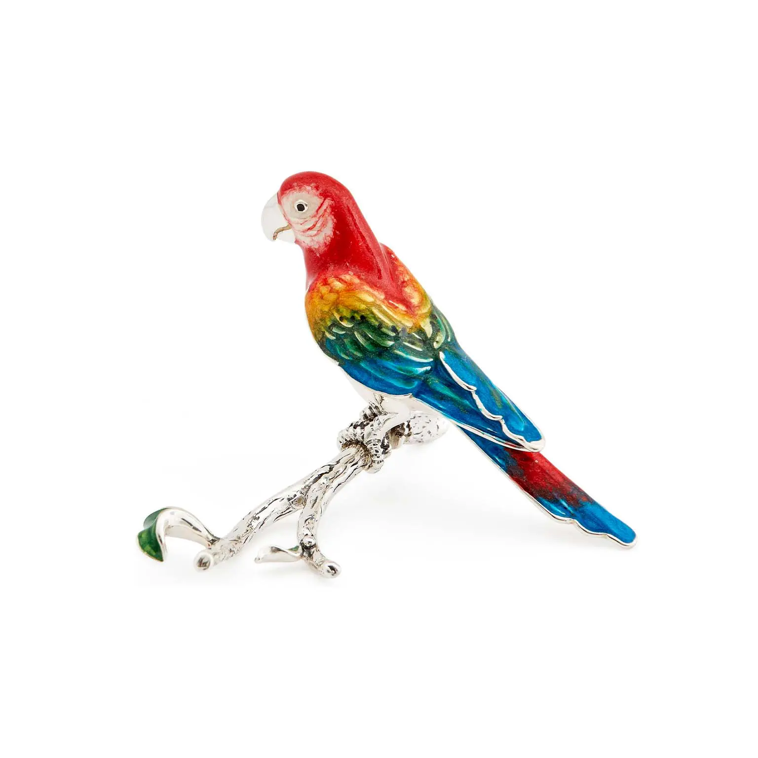 Parrot on Branch
