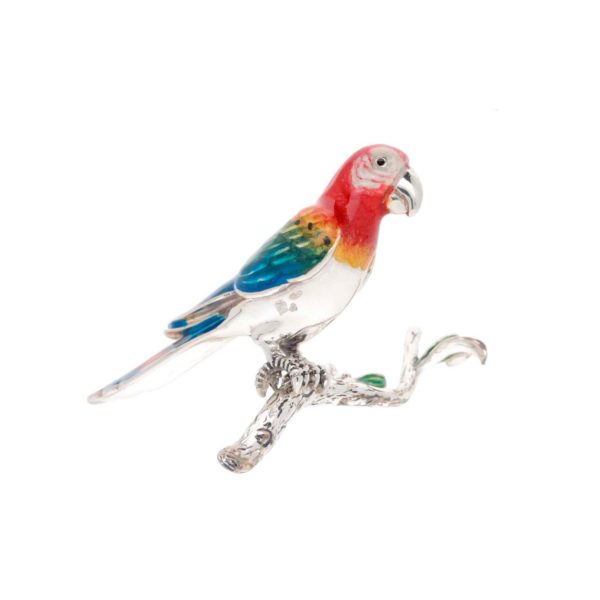 Parrot on Branch - Image 2