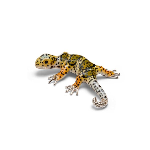 Tris Geckos - Image 3