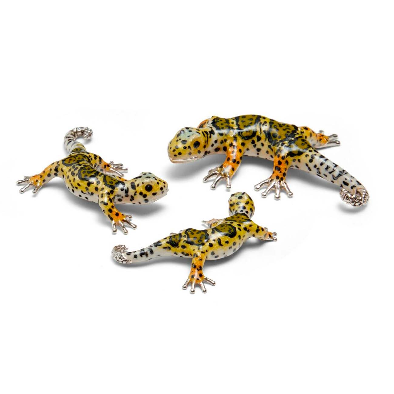 Tris Geckos