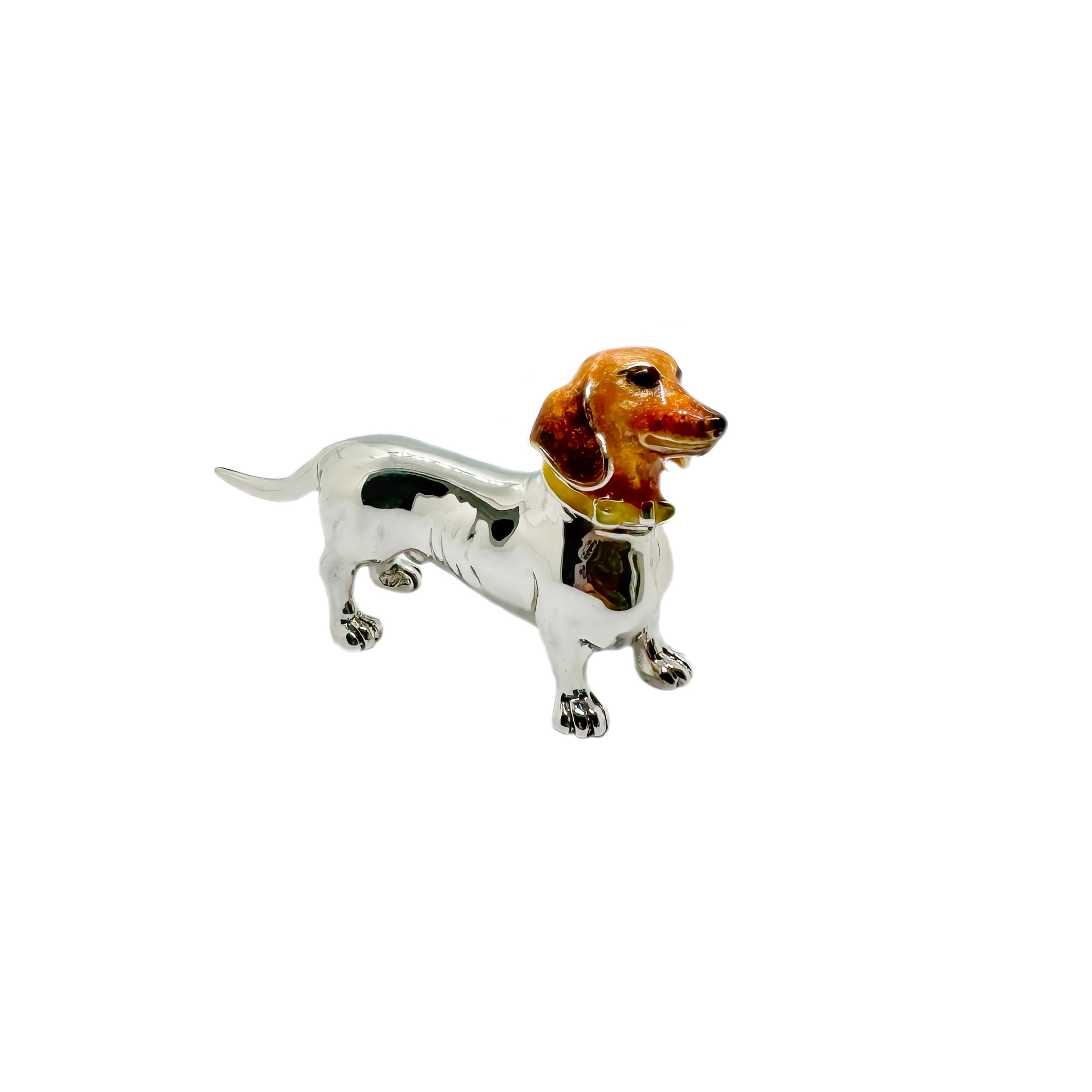 Dachshund