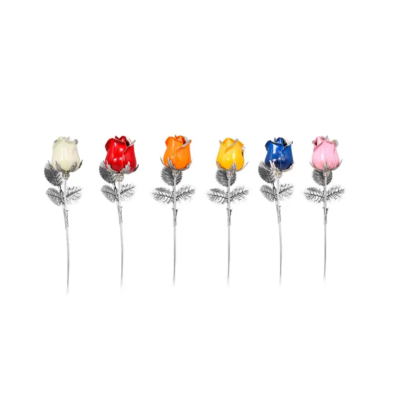Rosa Dallas cm 13