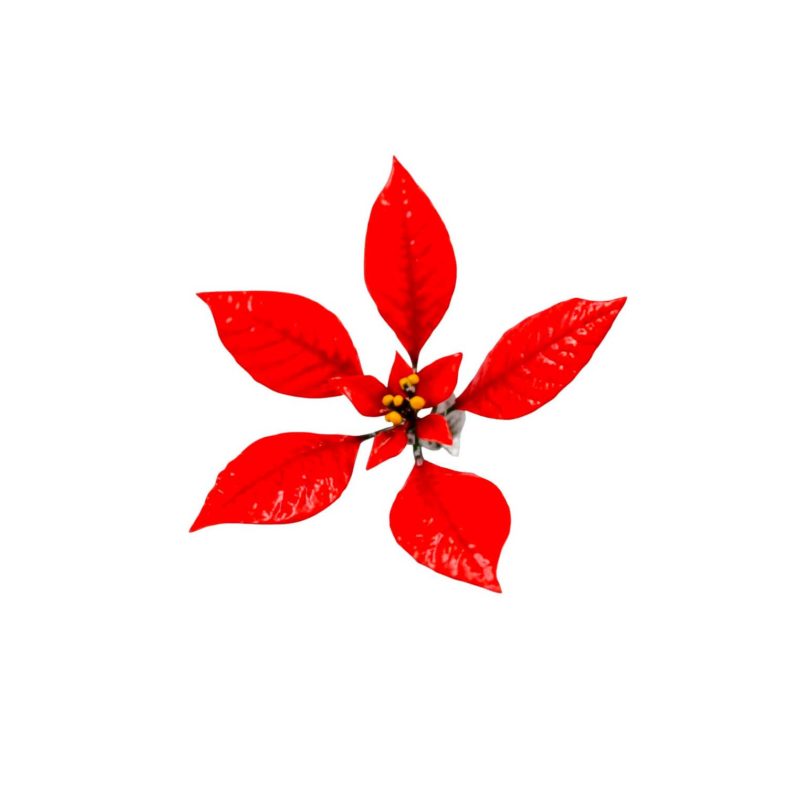 Hand-Painted Enamel Poinsettia Place Card