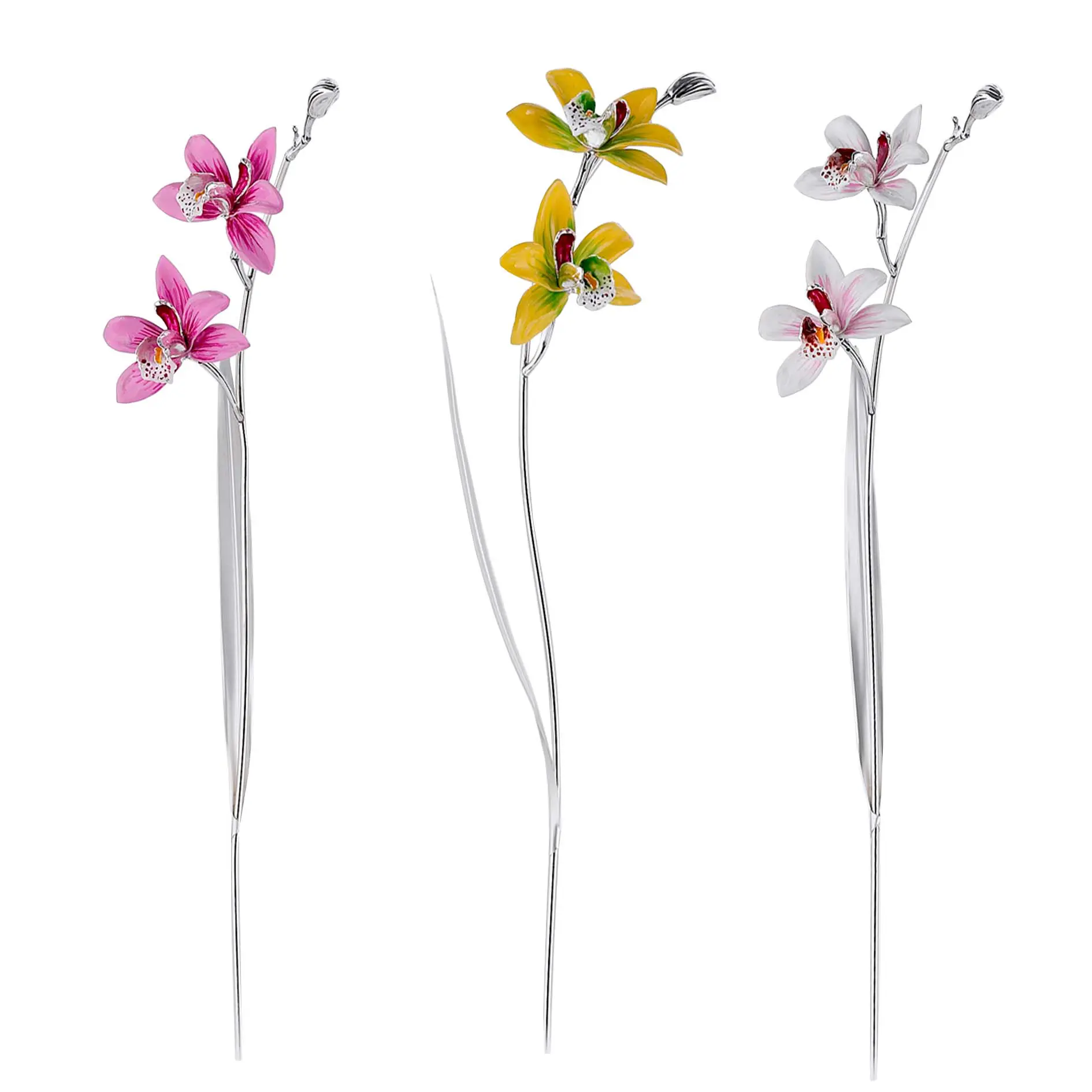 Orchidea Cymbidium 2 fiori cm 44,50